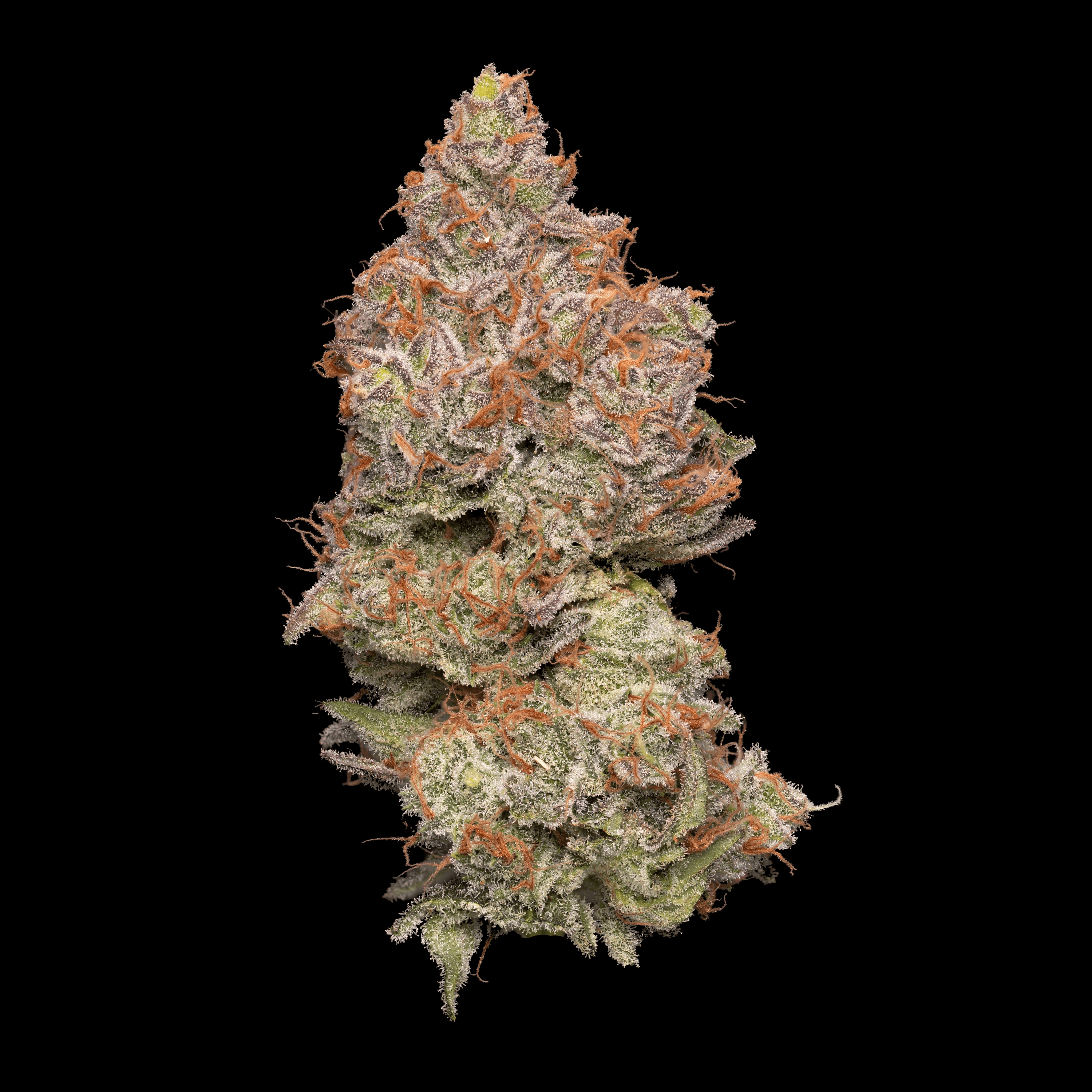 Brigid Farm product spotlight 1